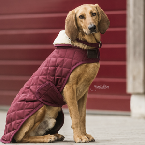 Kentucky hundedækken burgundy